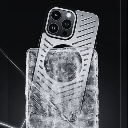 Case and Cover iPhone 13  Gray Magnetic Guide Plate Beast GrunX in India