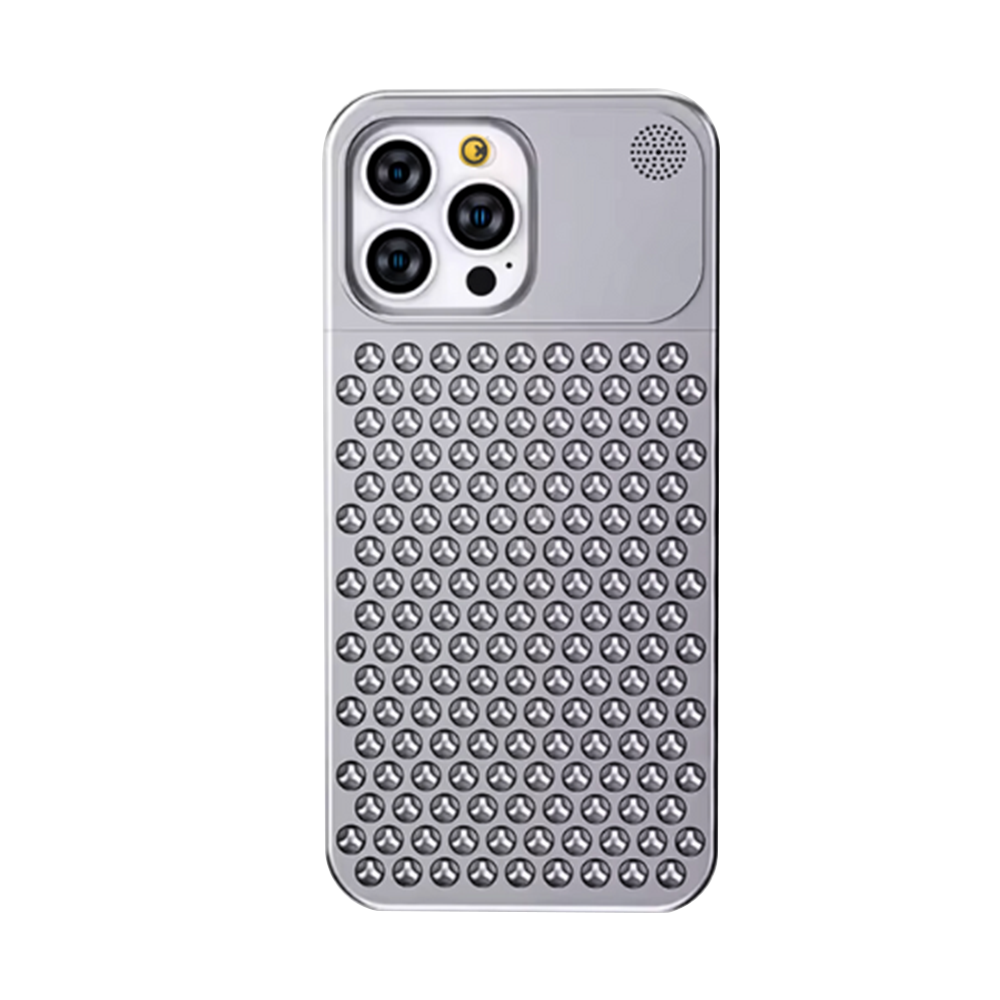 Case and Cover iPhone 16, 16E, 16 Plus, 16 Pro, 16 Pro Max Silver Back View Tesla GrunX in India